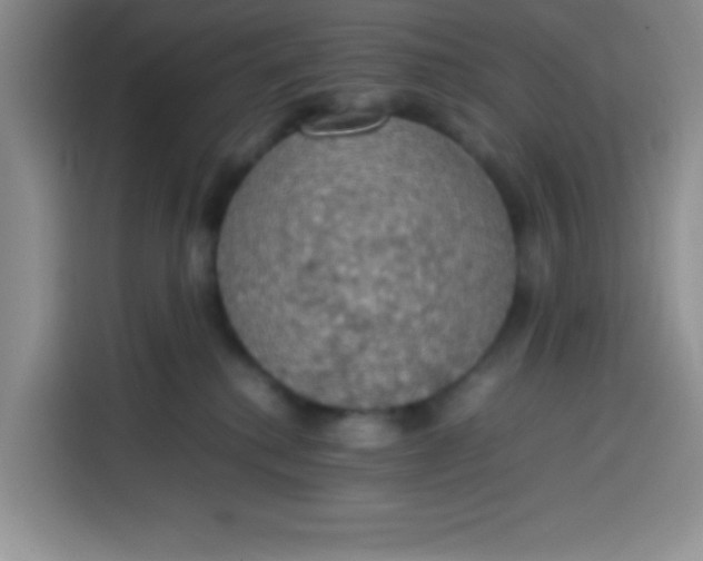 X0000113780280200910141044