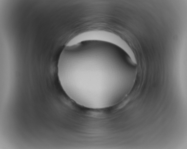 X0000113780284200910141044