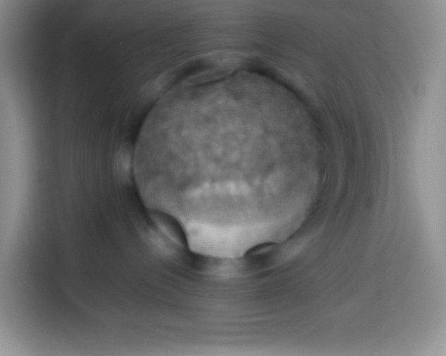 X0000113780288200910141044