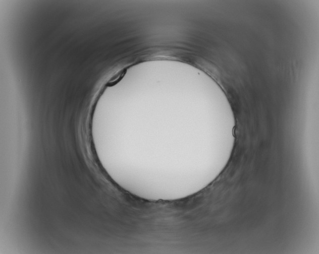 X0000113780289200910141044