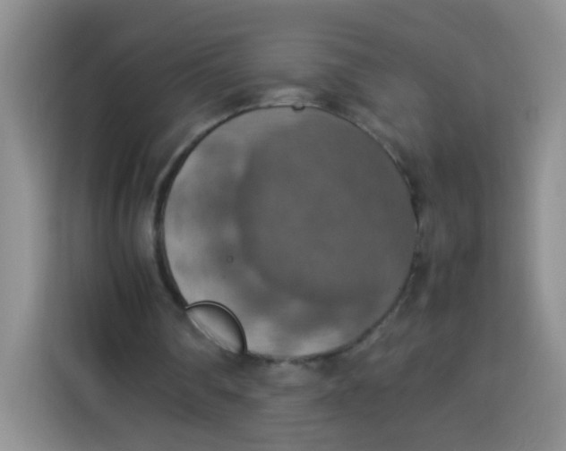 X0000113780290200910141044