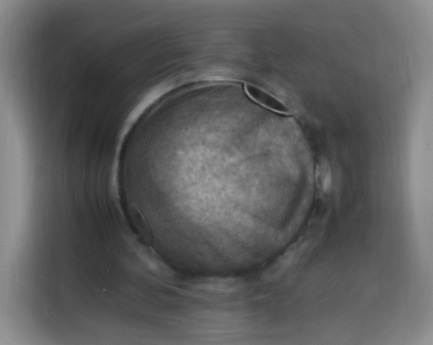 X0000113780292200910141044