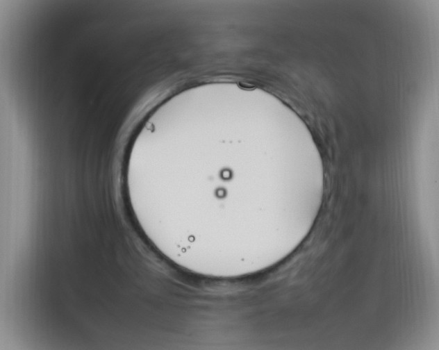 X0000113780293200910141044