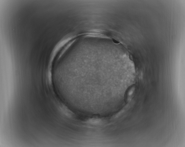 X0000113780294200910141044