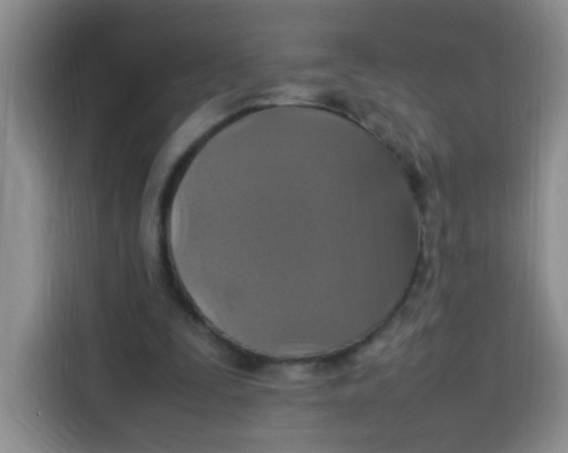 X0000113780295200910141044