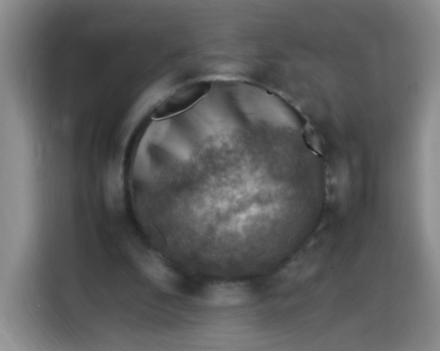 X0000113780296200910141044