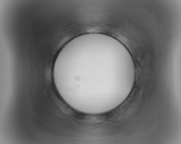 X0000113780297200910141044