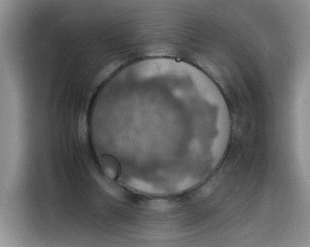 X0000113780298200910141044