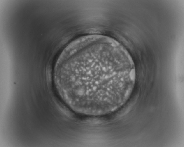 X0000113780299200910141044