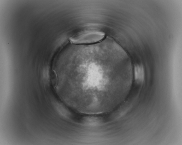 X0000113780300200910141044