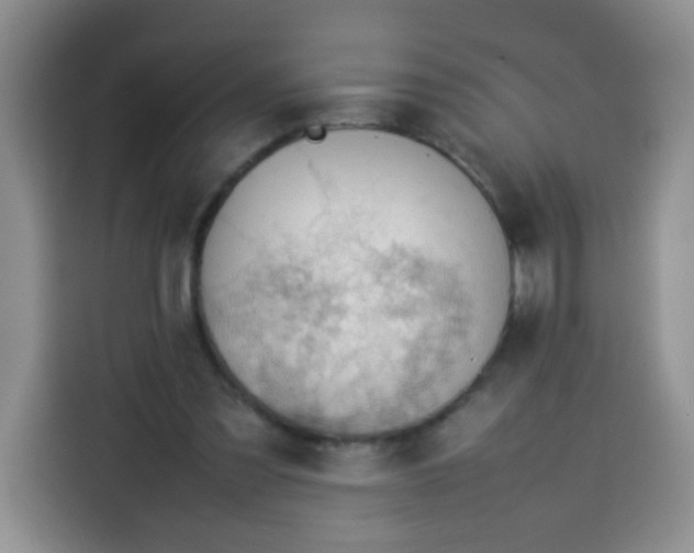 X0000113780301200910141044