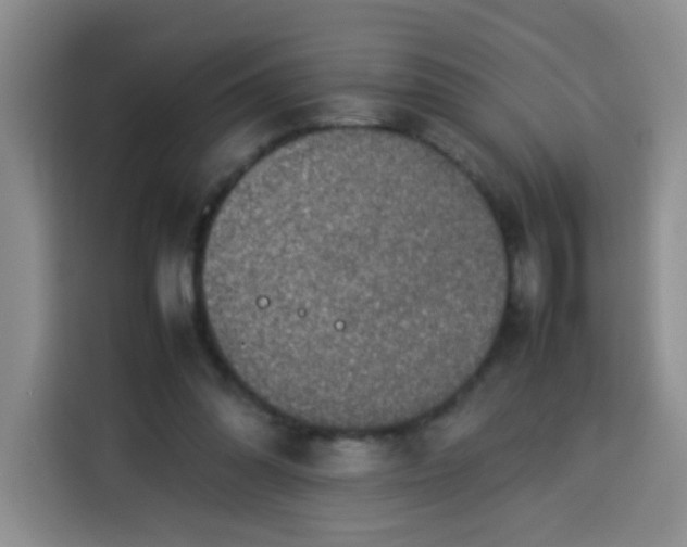 X0000113780302200910141044