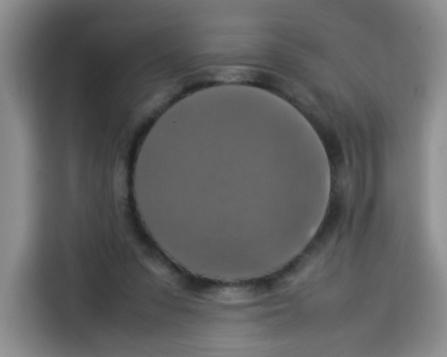 X0000113780303200910141044