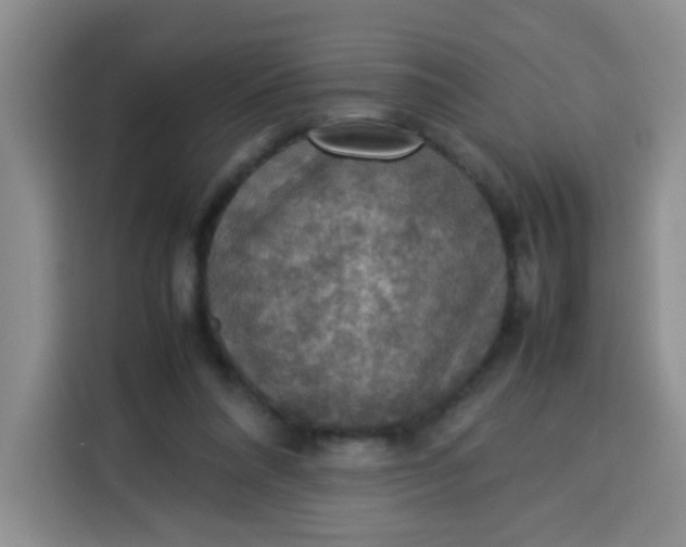 X0000113780304200910141044