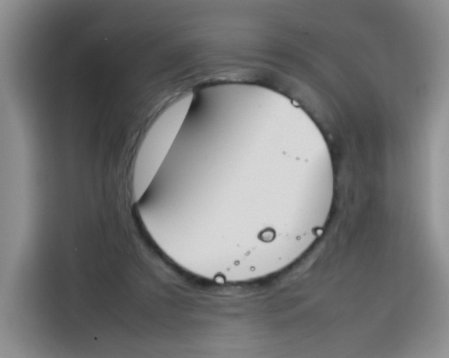 X0000113780305200910141044