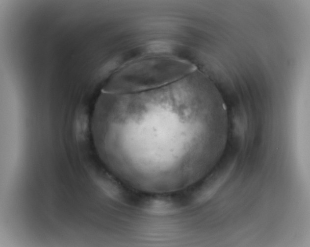 X0000113780308200910141044