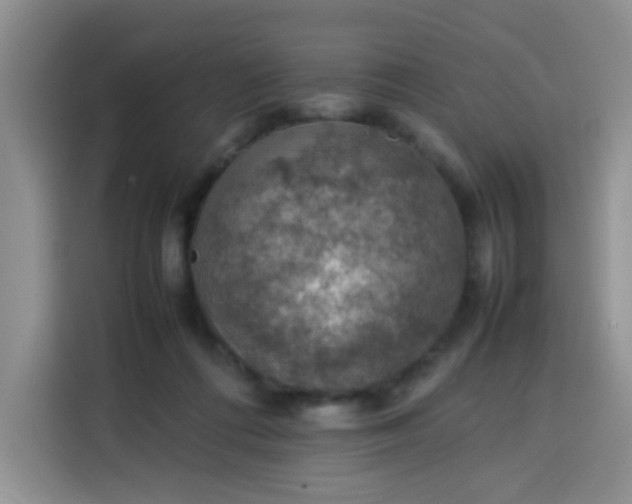 X0000113780312200910141044