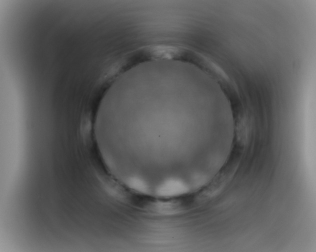 X0000113780314200910141044