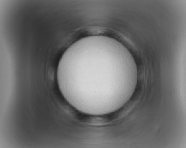 X0000113780315200910141044