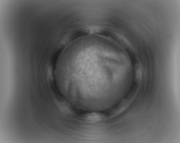 X0000113780316200910141044