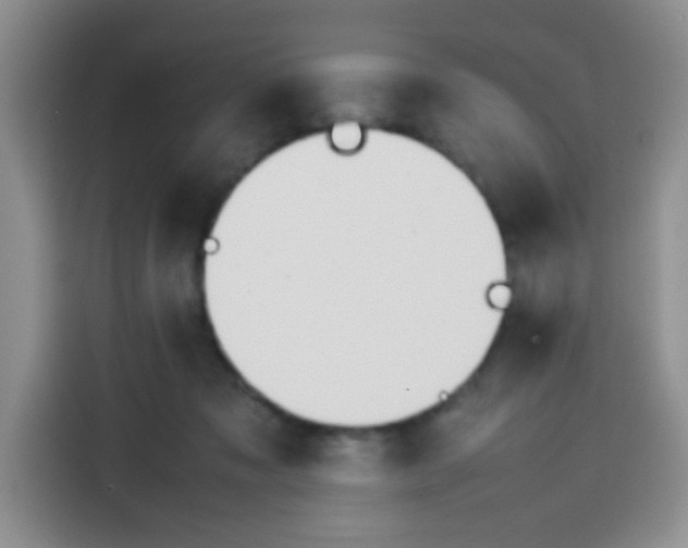 X0000113780317200910141043