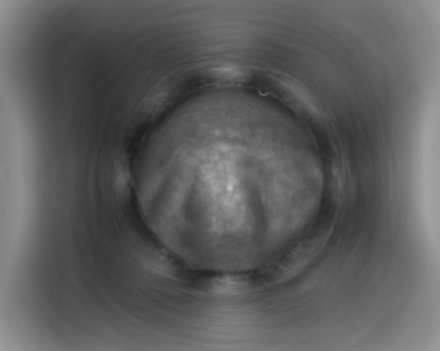 X0000113780320200910141043