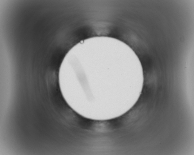 X0000113780321200910141043