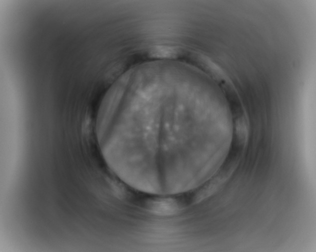 X0000113780322200910141043