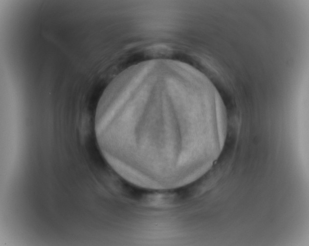 X0000113780323200910141043