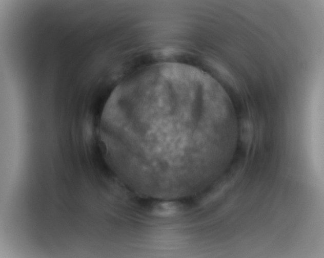 X0000113780324200910141043