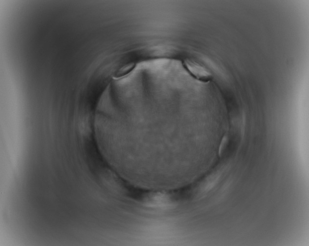 X0000113780325200910141043