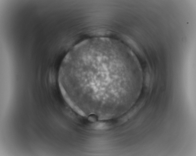 X0000113780326200910141043