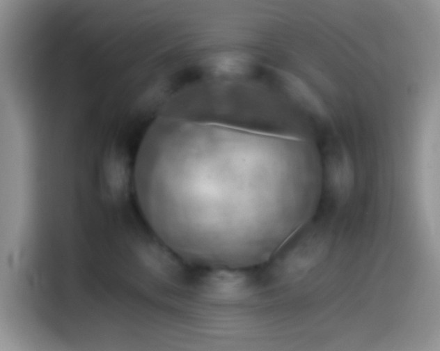 X0000113780328200910141043