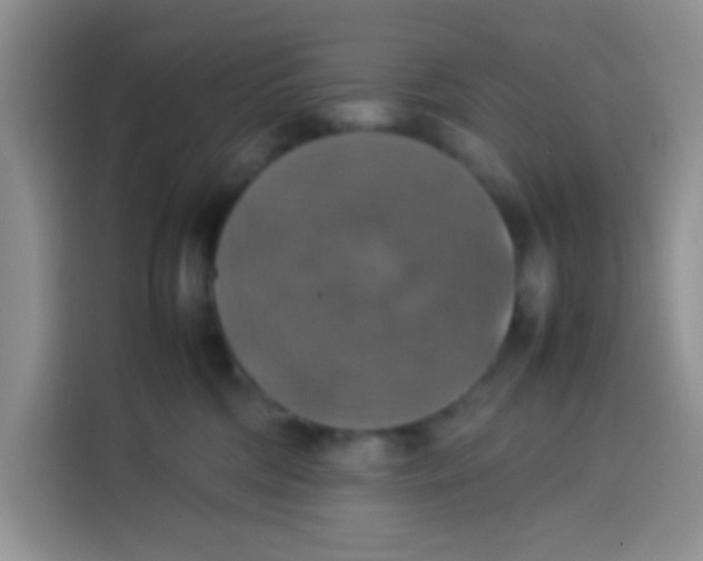 X0000113780330200910141043