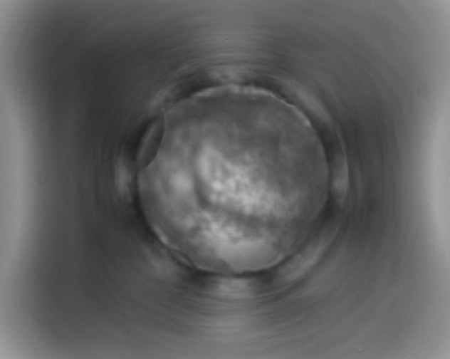 X0000113780332200910141043