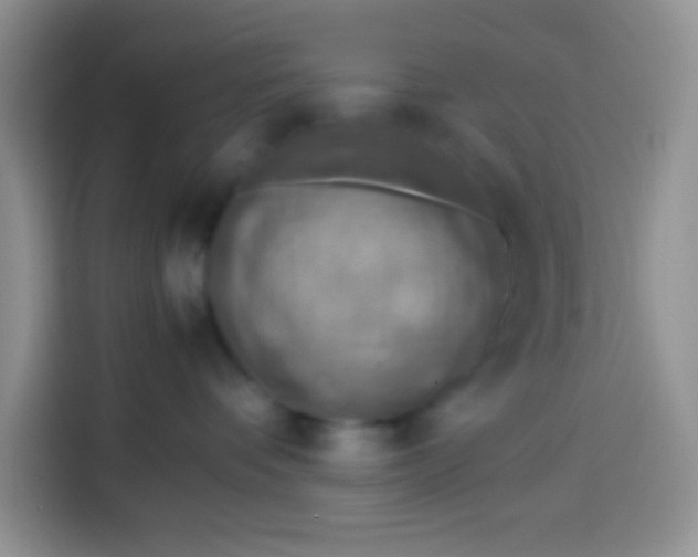 X0000113780336200910141043