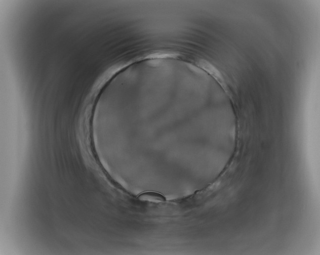 X0000113780337200910141043