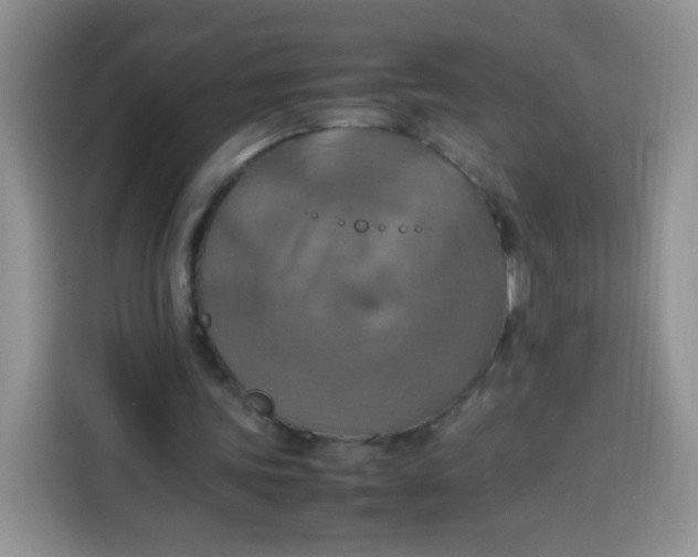 X0000113780339200910141043