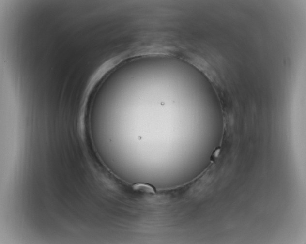 X0000113780340200910141043