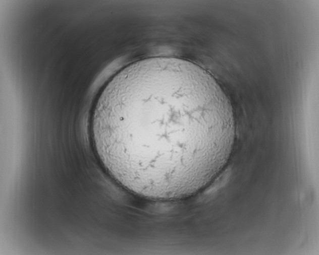 X0000113780341200910141043