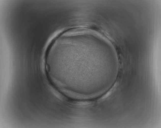 X0000113780342200910141043