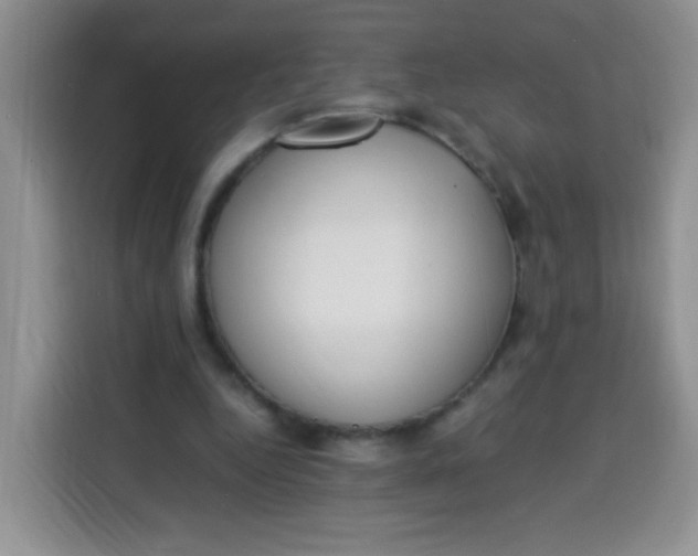 X0000113780344200910141043