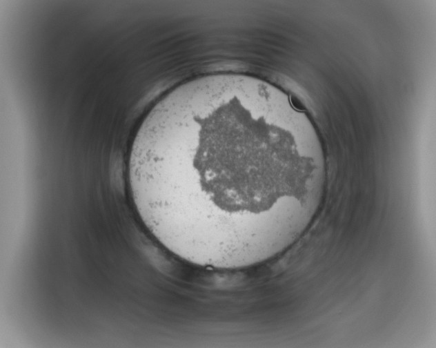 X0000113780345200910141043