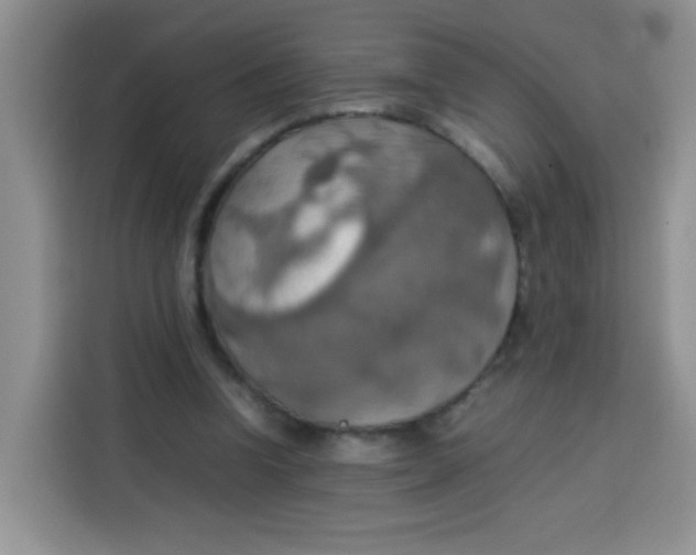 X0000113780346200910141043