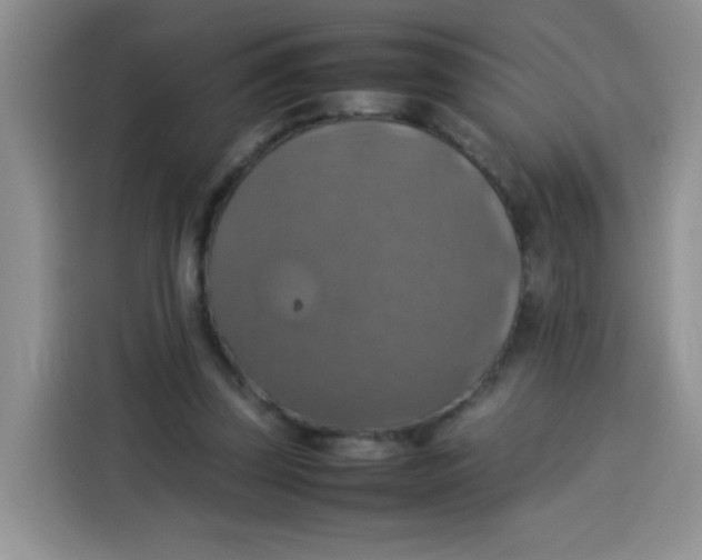 X0000113780347200910141043