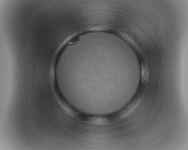 X0000113780348200910141043