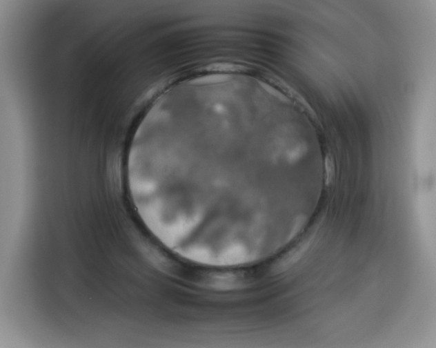 X0000113780349200910141043