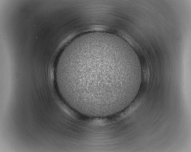 X0000113780350200910141043