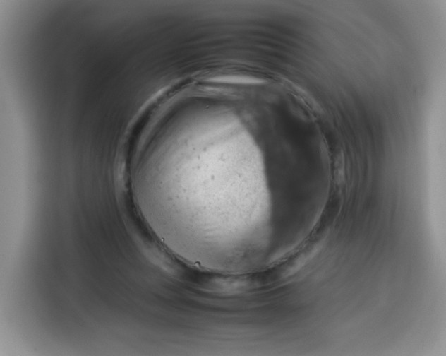 X0000113780351200910141043