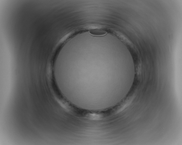 X0000113780352200910141043